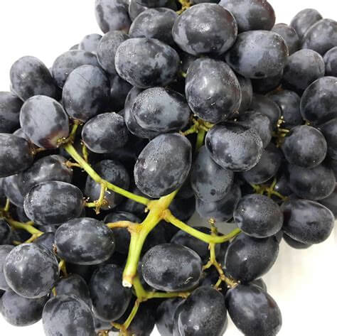 Nho-đen-không-hạt-Nam-phi-traicayxanh.vn_